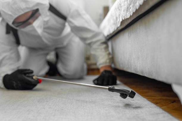 Professional Pest Control technician working in Newfoundland, NJ