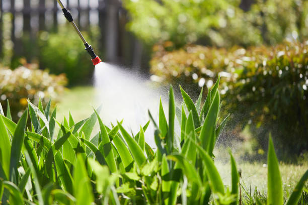 24/7 Emergency Ant Control experts in Newfoundland, NJ