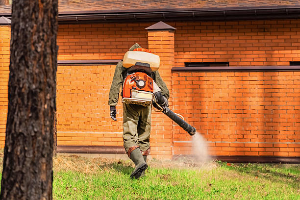 Trusted Mosquito Control service in Newfoundland, NJ - Nex Pest Control